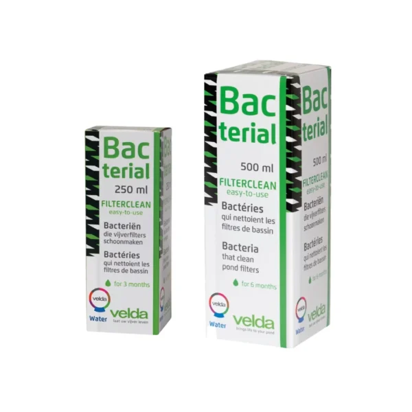 Bacterial Filterclean