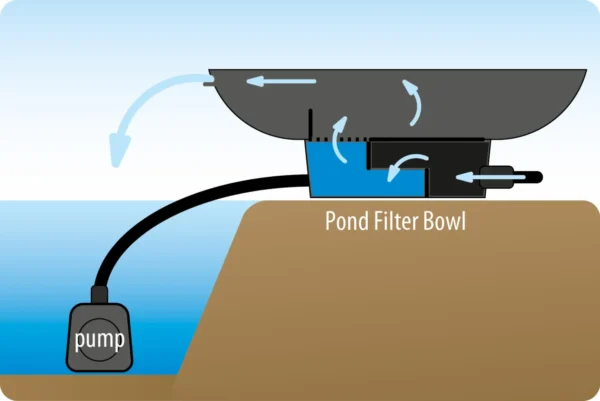 Pond Filter Bowl - Afbeelding 4