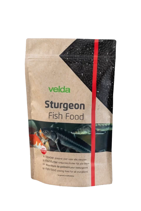 Sturgeon Fish Food – Visvoer