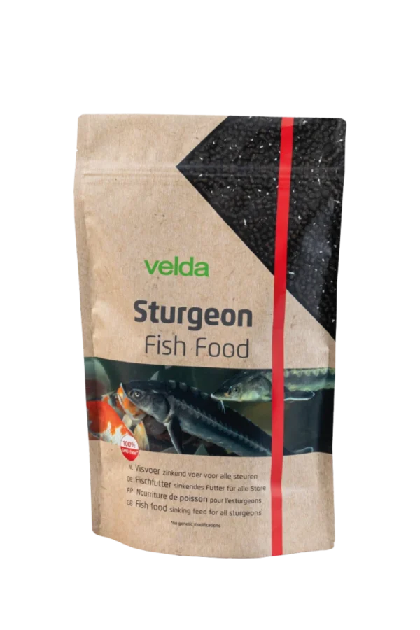 Fischfutter - Stör - Sturgeon Fish Food – Bild 5
