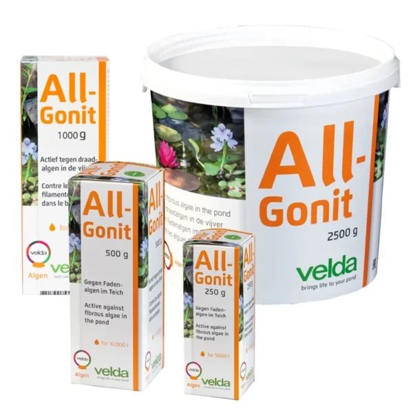 All-Gonit