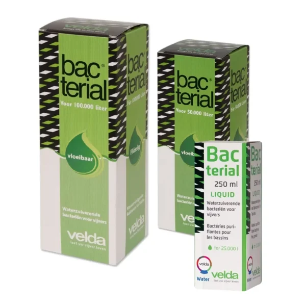 Bacterial Liquid