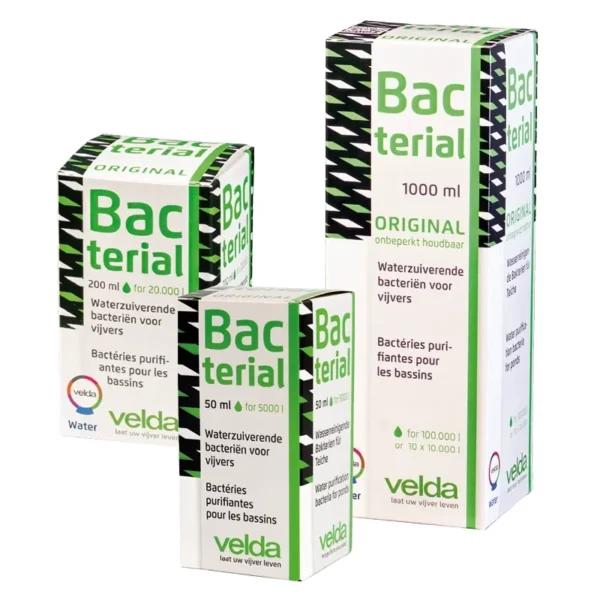 Bacterial