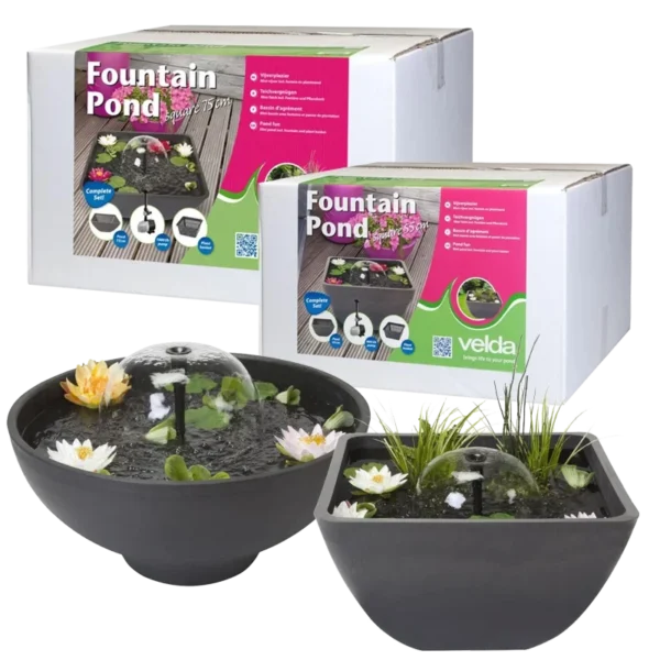 Fountain Pond / mini-vijver